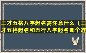 三才五格八字起名需注意什么（三才五格起名和五行八字起名哪个准 🐧 ）